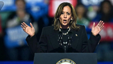 US presidential election: who is Kamala Harris?