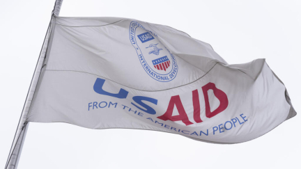 USAID: Trump and Musk target closure of top US humanitarian aid agency