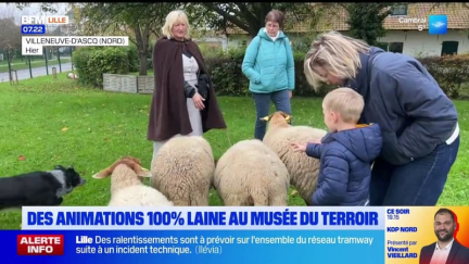 Villeneuve-d'Ascq: des animations 100% laine au musée du Terroir