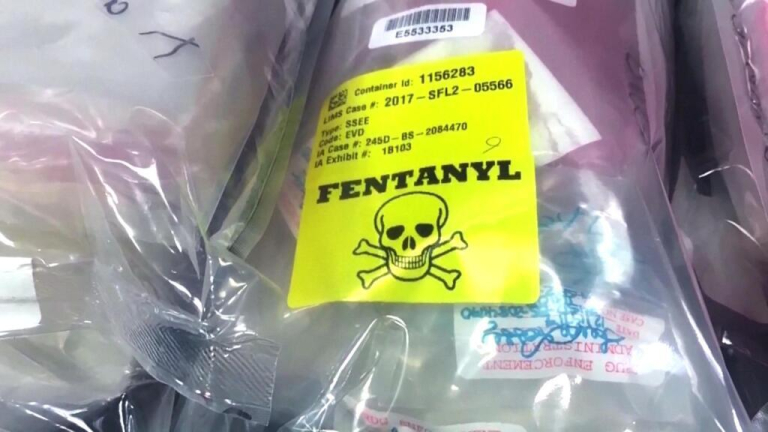 What role do Mexico, Canada and China play in the flow of fentanyl into the United States?