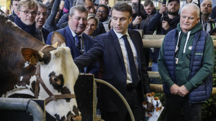 Why is Paris’ annual agriculture show such a big deal in France?