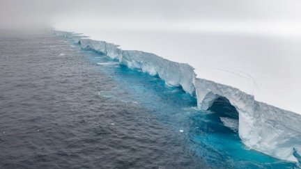 World's biggest iceberg runs aground, sparing wildlife haven