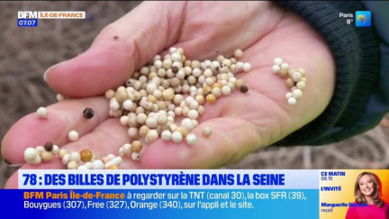 Yvelines: des billes de polystyrène ont été découvertes dans la Seine