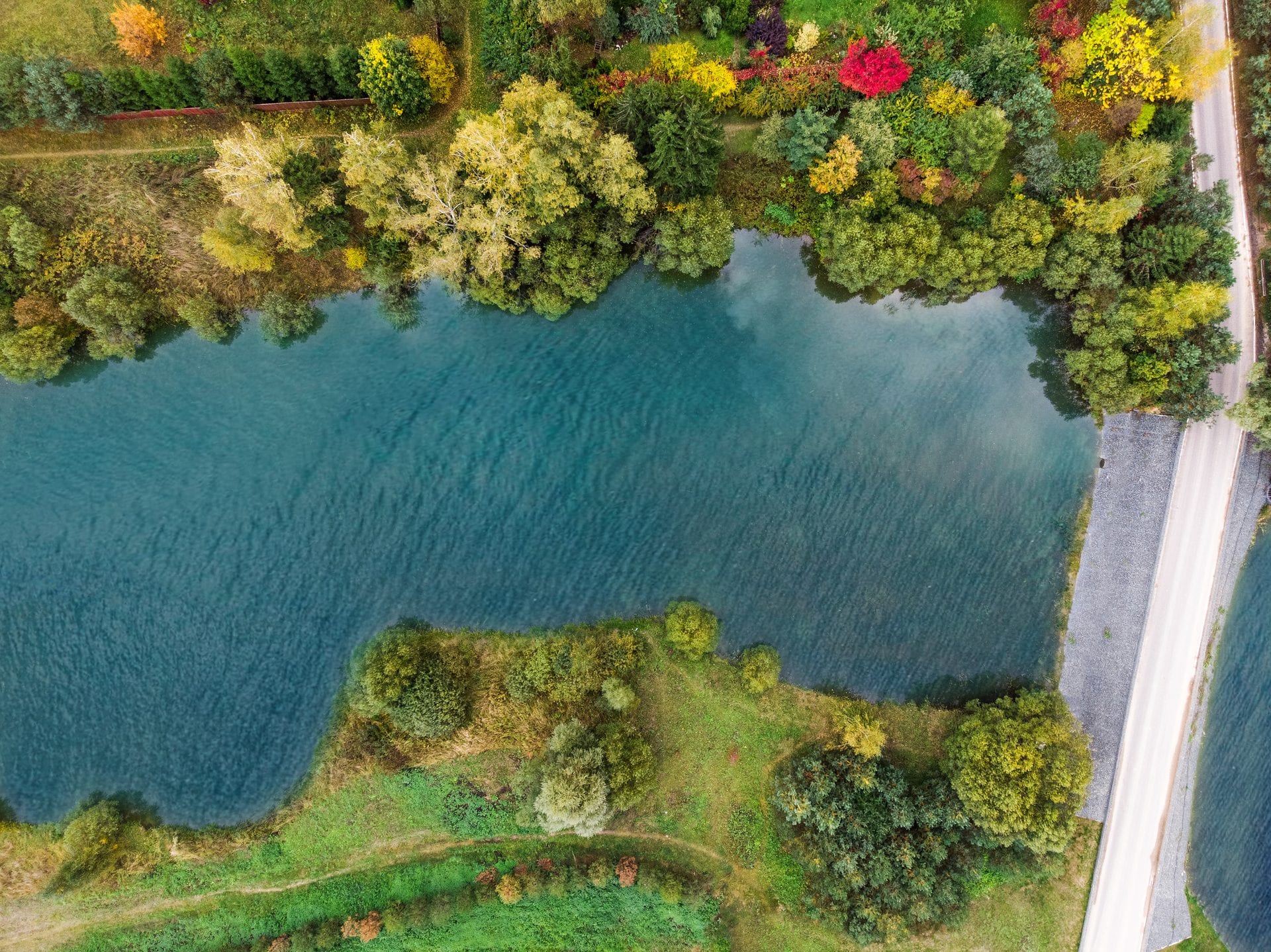 Участок D31, 9,5 соток, ИЖС, с лесными деревьями — КП Green Forest Park, Ступино - фото 2