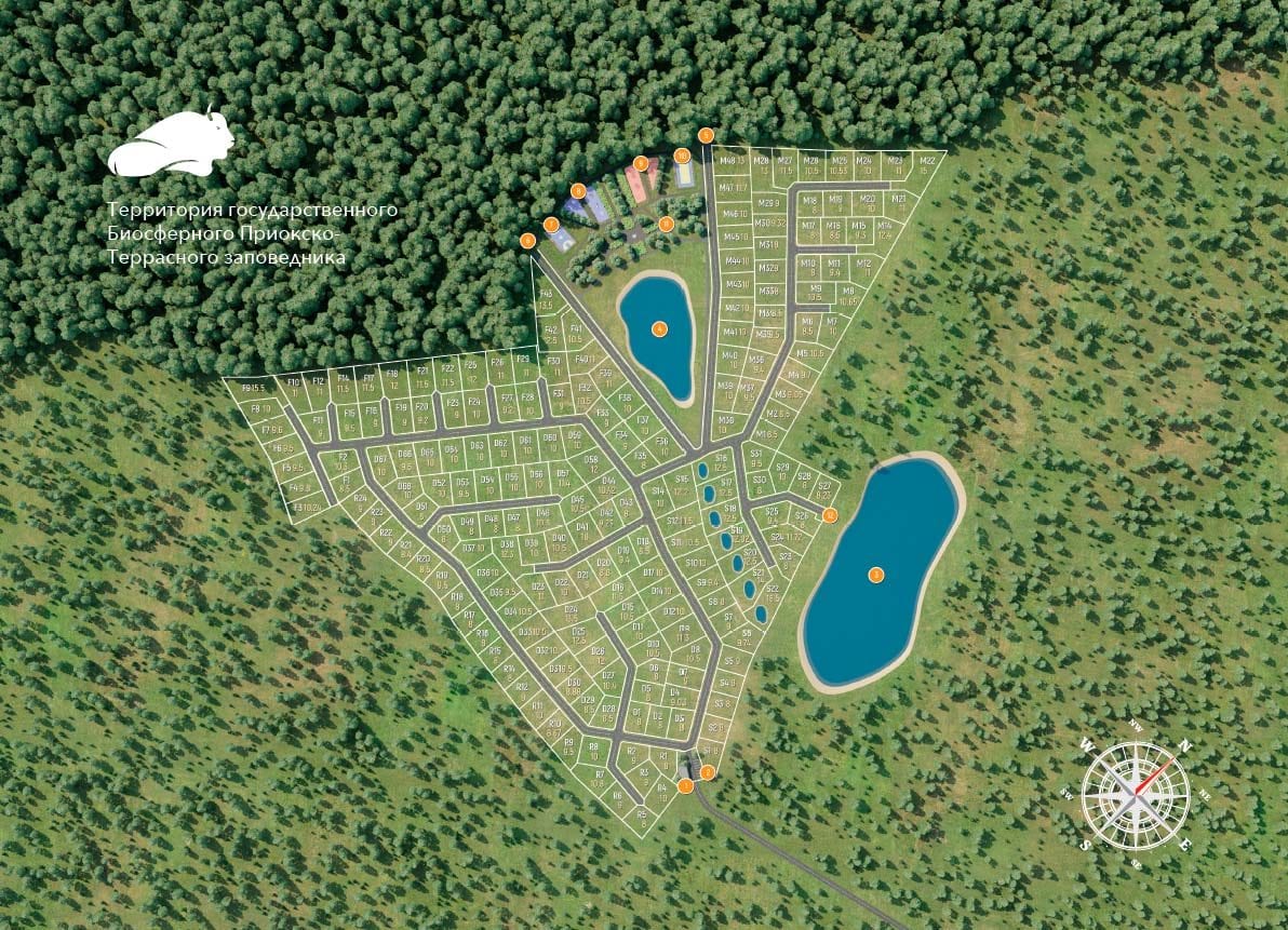 Участок D31, 9,5 соток, ИЖС, с лесными деревьями — КП Green Forest Park, Ступино - фото 3