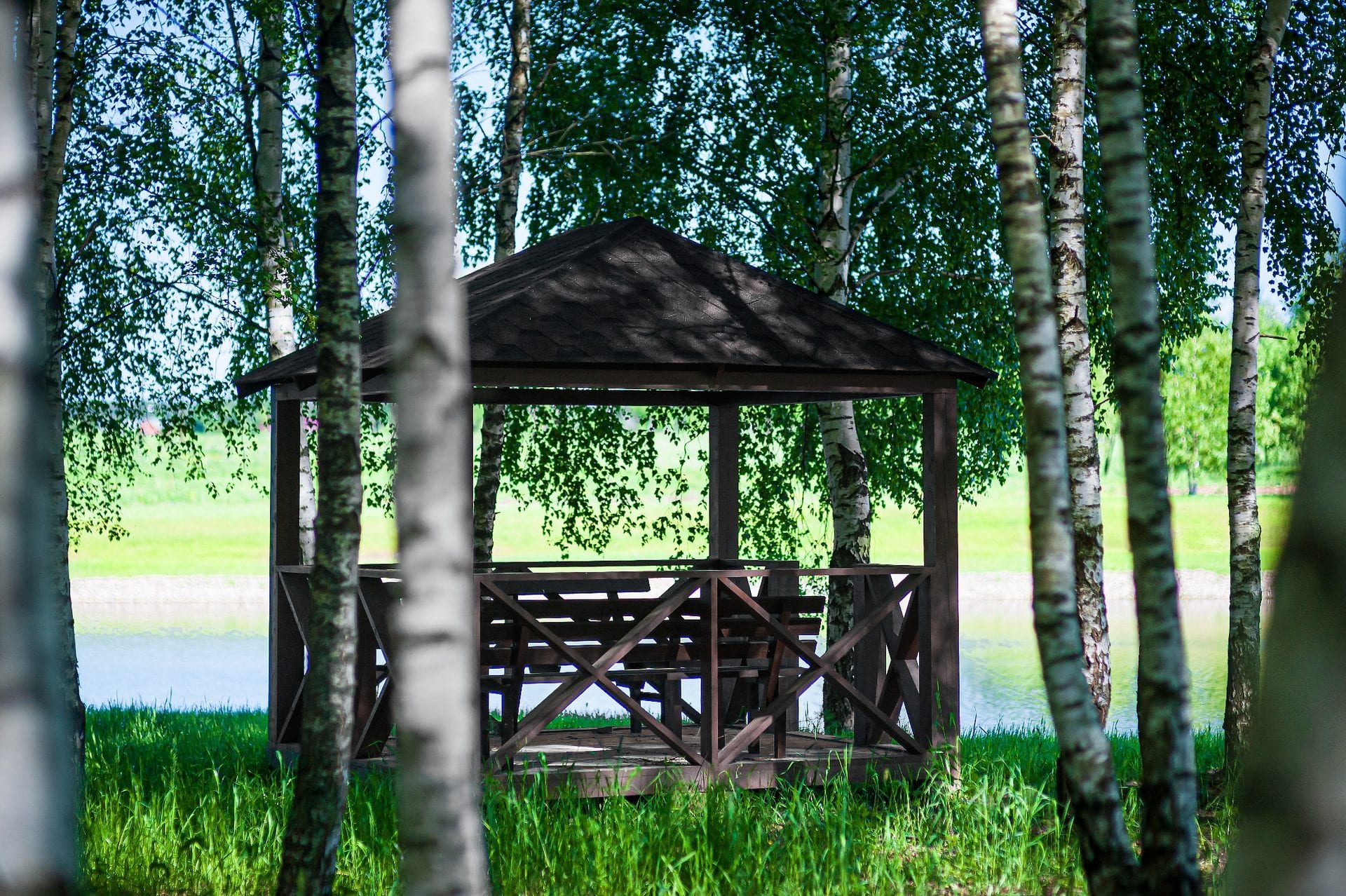 Участок D27, 10,4 соток, ИЖС, с лесными деревьями — КП Green Forest Park, Ступино - фото 1