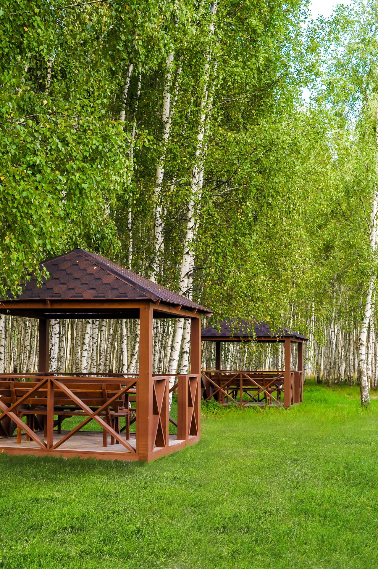 Участок M20, 12 соток, ИЖС, с выходом в лес — КП Green Forest Premium, Ступино - фото 1