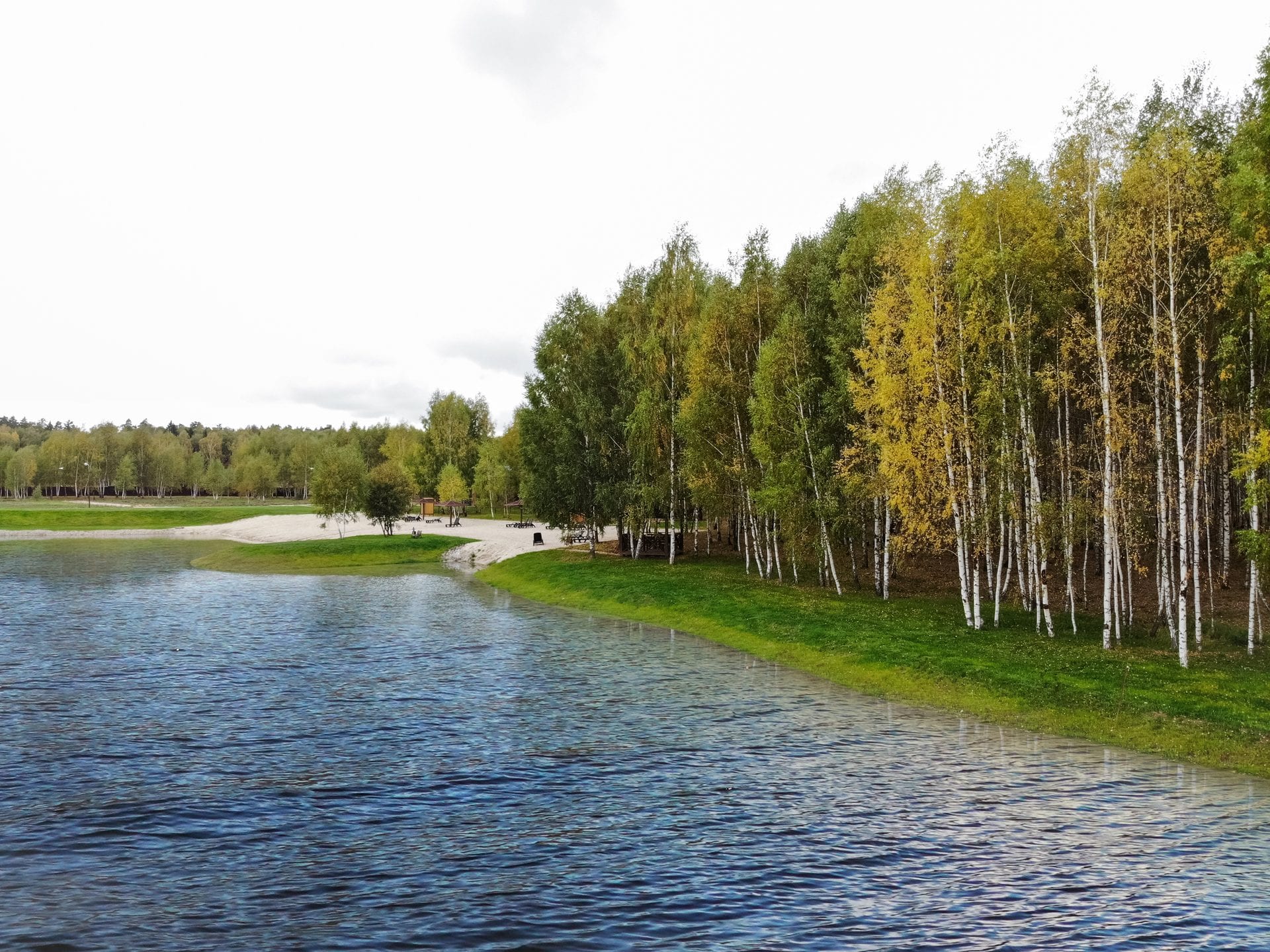 Участок N40, 9,65 соток, ИЖС, с лесными деревьями — КП Green Forest Premium, Ступино - фото 1