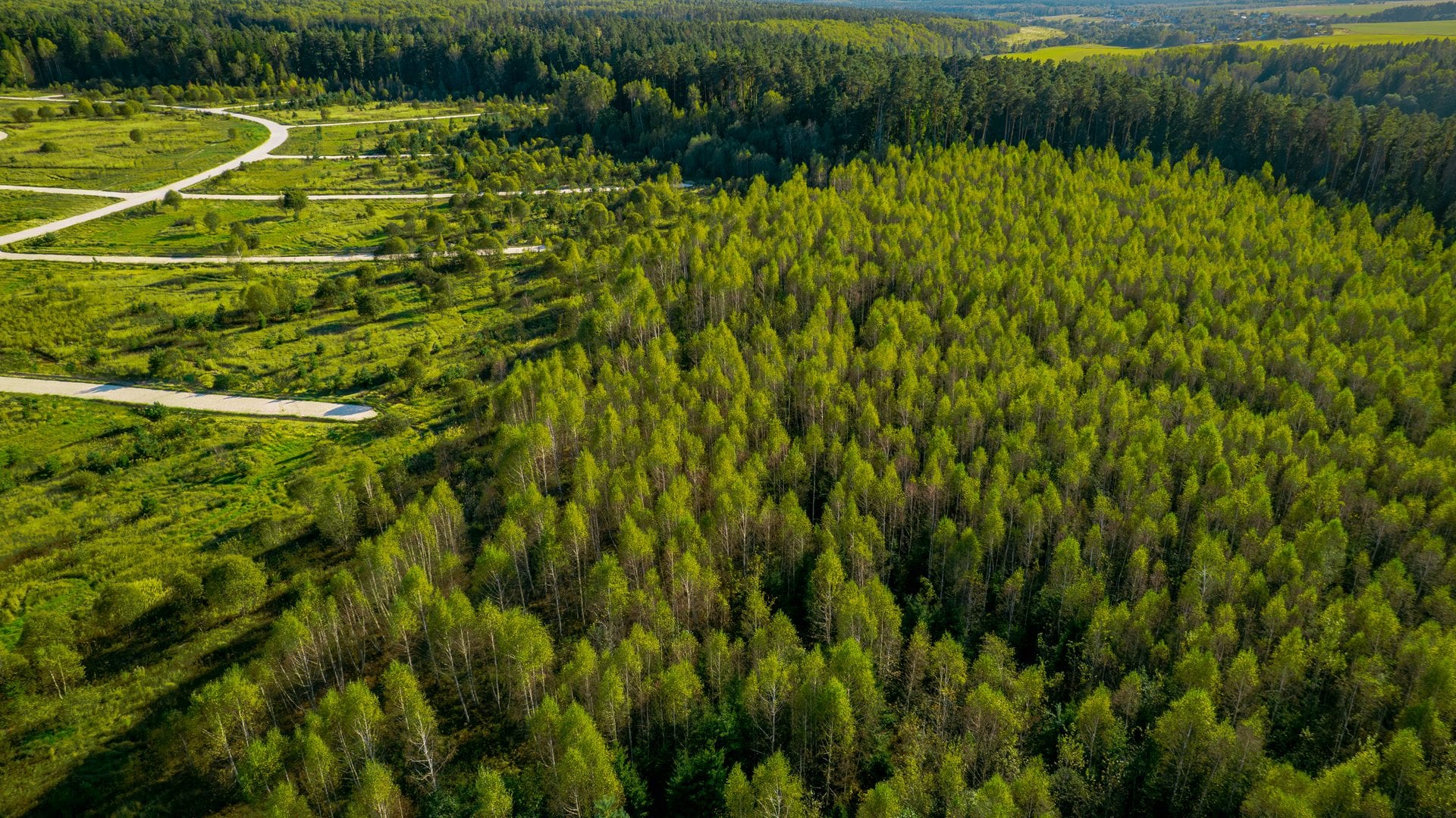 Участок M19, 9 соток с деревьями — КП River Wood, Ступино - фото 1