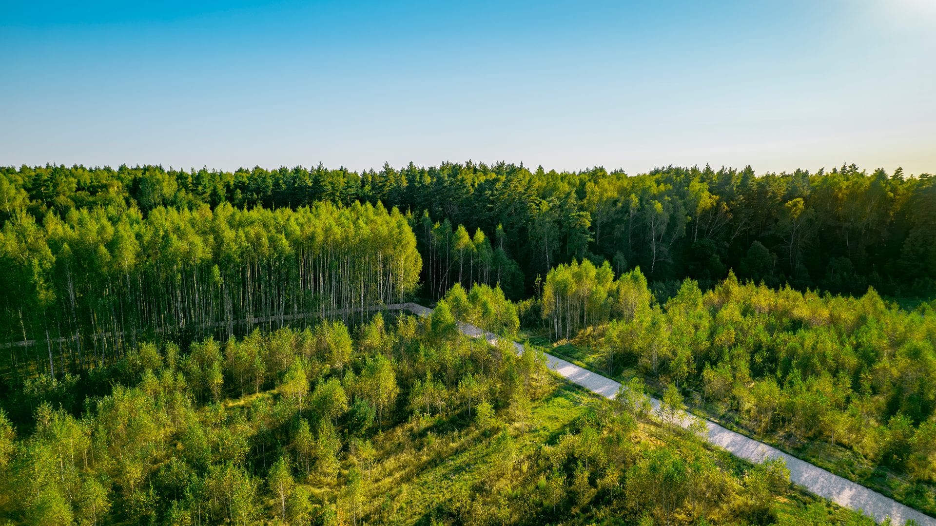 Участок M51, 9,5 соток с деревьями — КП River Wood, Ступино - фото 1