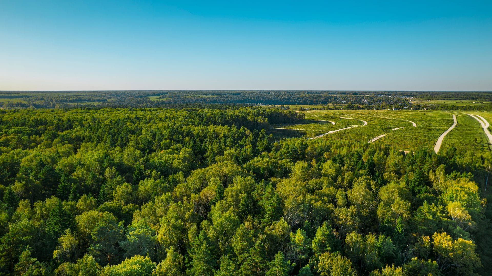 Участок L63, 10 соток у леса — КП River Wood, Ступино - фото 1