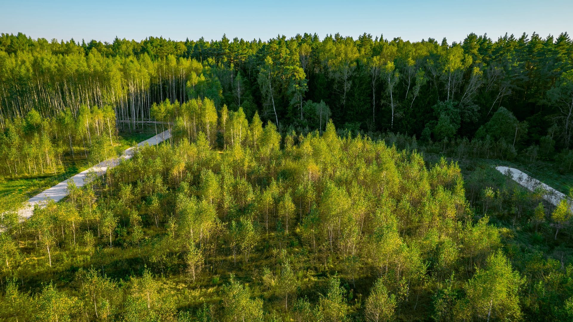 Участок M20, 8 соток с деревьями — КП River Wood, Ступино - фото 1