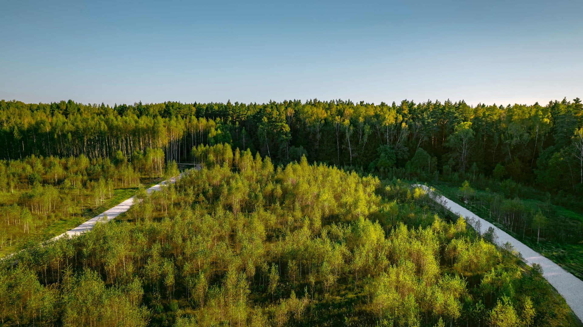Участок M50, 10 соток с деревьями — КП River Wood, Ступино - фото 1