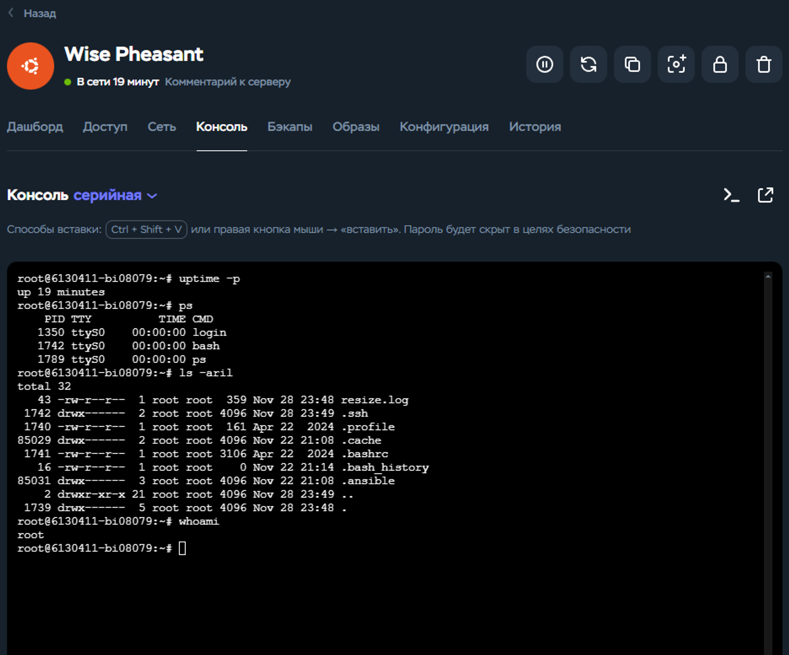 Timeweb Cloud: Серийная консоль сервера