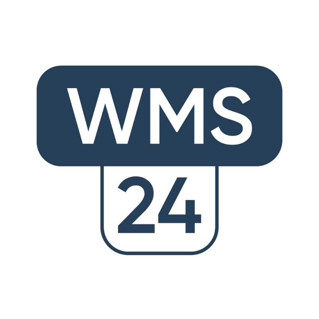 Логотип WMS24
